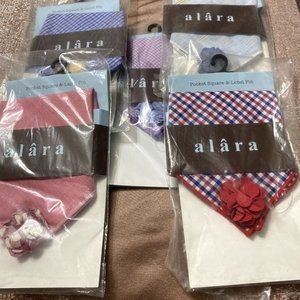 Alara Pocket Square & Lapel Pin NWT Assorted 5pc